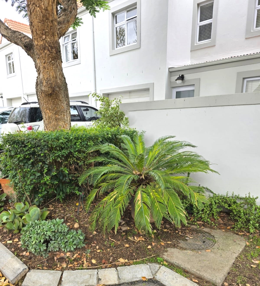 To Let 3 Bedroom Property for Rent in Paarl South Western Cape